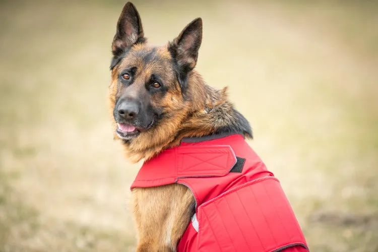 GERMAN SHEPHERD SOFTSHELL DOG COAT / MADE TO ORDER