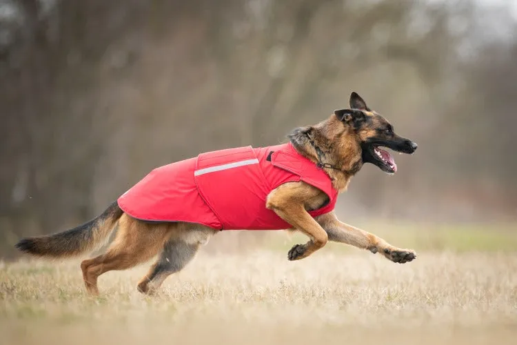 GERMAN SHEPHERD SOFTSHELL DOG COAT / MADE TO ORDER