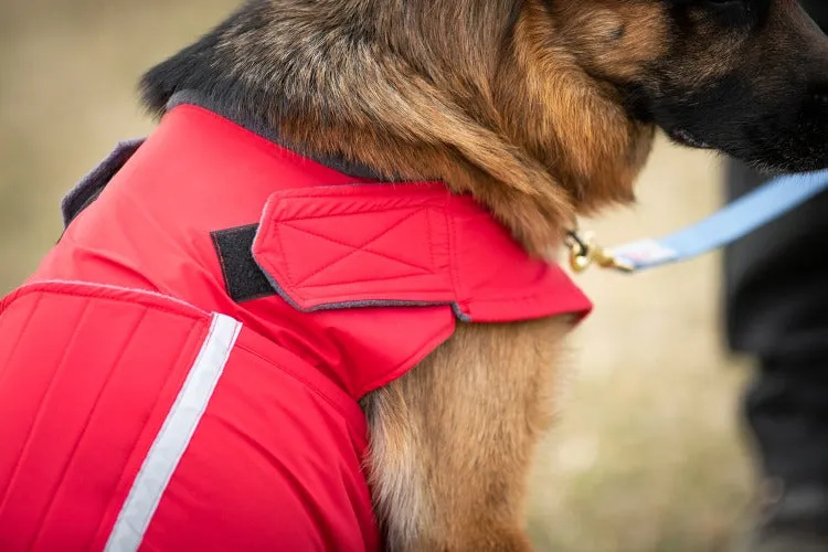 GERMAN SHEPHERD SOFTSHELL DOG COAT / MADE TO ORDER