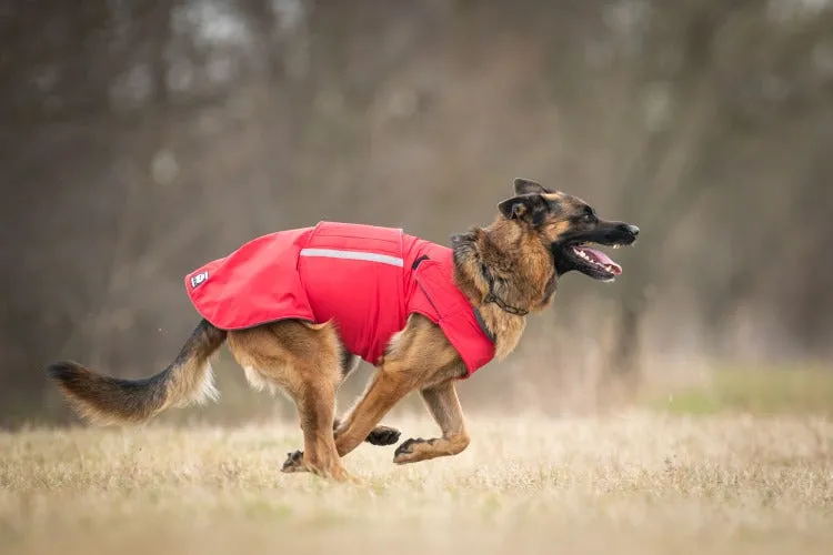 GERMAN SHEPHERD SOFTSHELL DOG COAT / MADE TO ORDER